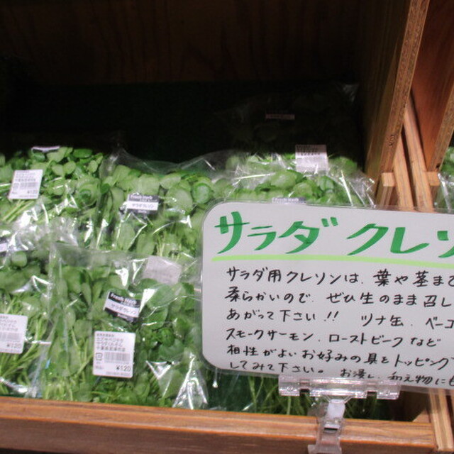 カズサの郷 愛彩畑 (カズサノサト アイサイハタケ) )~イメージ画像1~