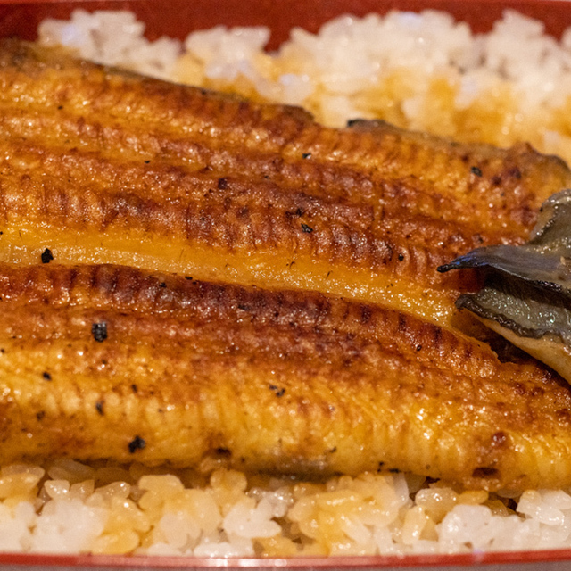 うなぎ川亀 亀有 うなぎ 食べログ うなぎ川亀 亀有 うなぎ 食べログ