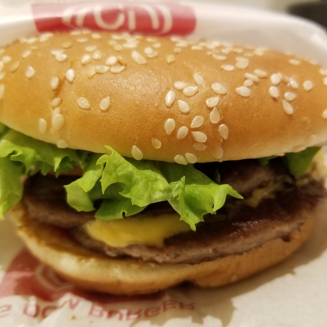 ドムドムハンバーガー 浅草花やしき店 )~イメージ画像1~