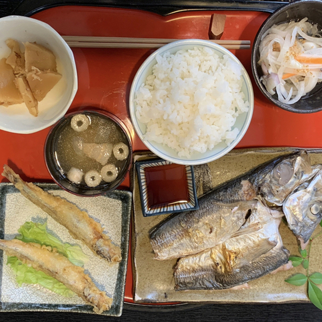 魚食酒飲 兎 ウサギ 守恒 居酒屋 食べログ 魚食酒飲 兎 ウサギ 守恒 居酒屋 食べログ