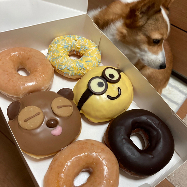 口コミ一覧 クリスピー クリーム ドーナツ ららぽーと愛知東郷店 Krispy Kreme Doughnuts 日進 ドーナツ 食べログ