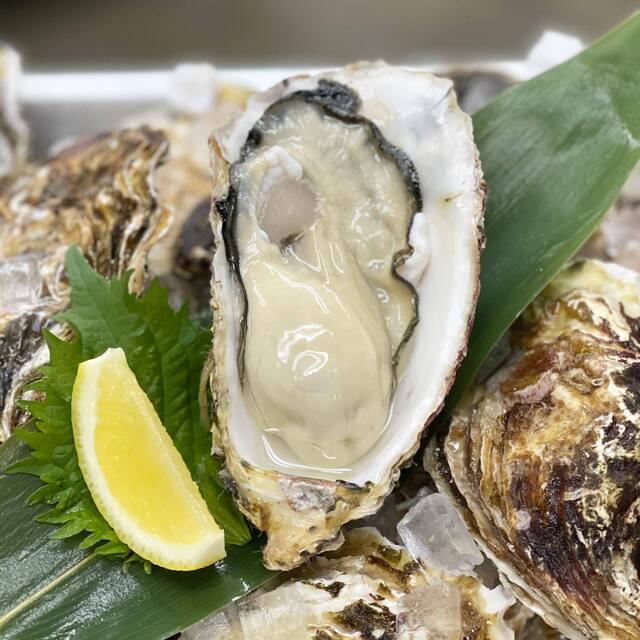 港の牡蠣センター カキ小屋 沼津店 沼津 魚介料理 海鮮料理 食べログ 港の牡蠣センター カキ小屋 沼津店 沼津 魚介料理 海鮮料理 食べログ