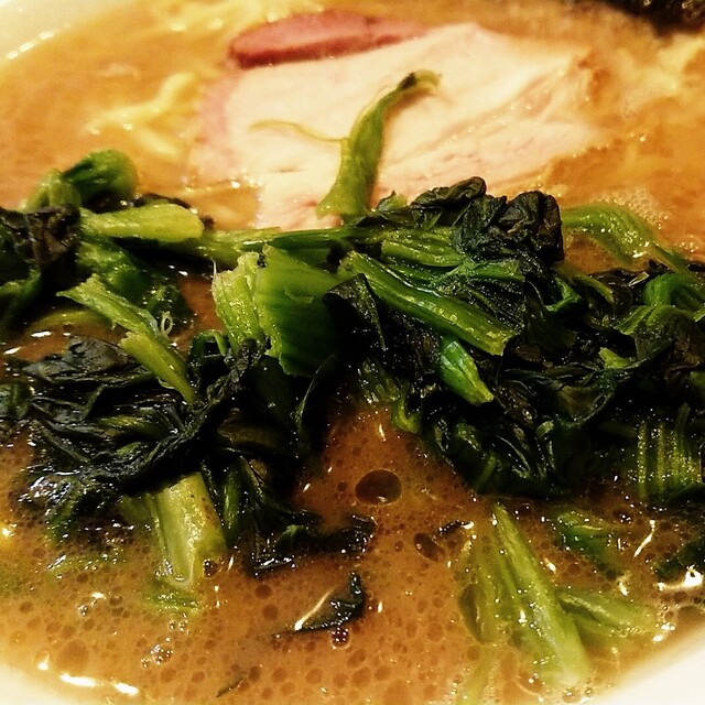 とさの家（トサノヤ） - デンテツターミナルビル前（ラーメン）の写真（食べログが提供するog:image）