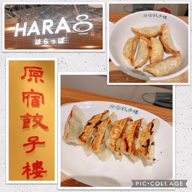 原宿餃子楼 マルイファミリー溝口店 武蔵溝ノ口 餃子 食べログ 原宿餃子楼 マルイファミリー溝口店 武蔵溝ノ口 餃子 食べログ