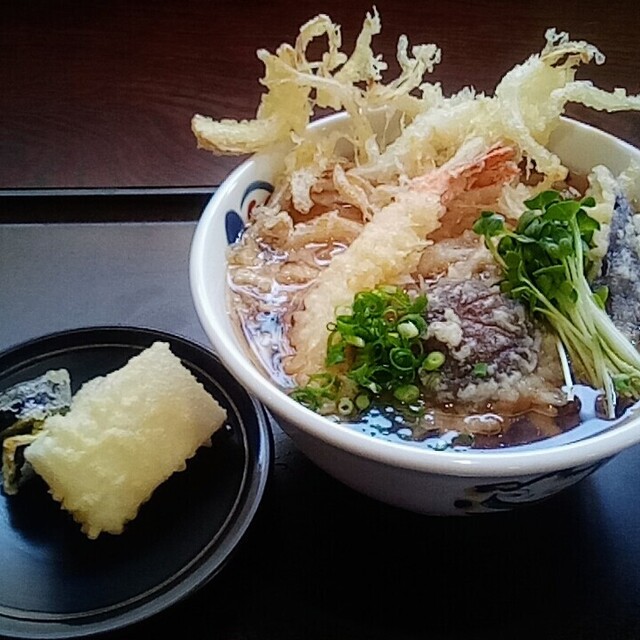 新生庵(シンセイアン) - 森林公園(うどん)の写真(食べログが提供するog:image)