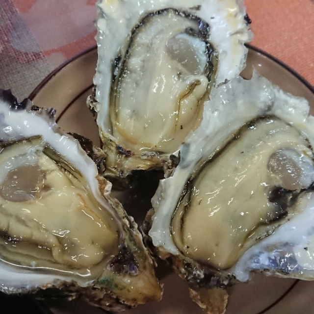 中山牡蠣養殖所 加茂 魚介料理 海鮮料理 食べログ