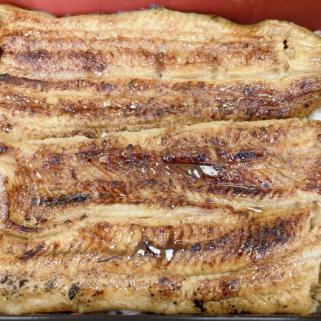 宮川 目黒店 不動前 うなぎ 食べログ