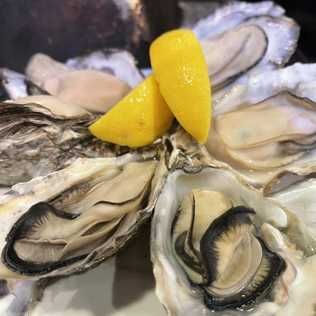 焼海処 吾空 昭和横丁店 ヤキウミドコロ ゴクウ 犬山 居酒屋 食べログ
