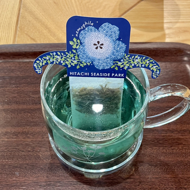 記念の森レストハウス - 阿字ケ浦(喫茶店)の写真(食べログが提供するog:image)