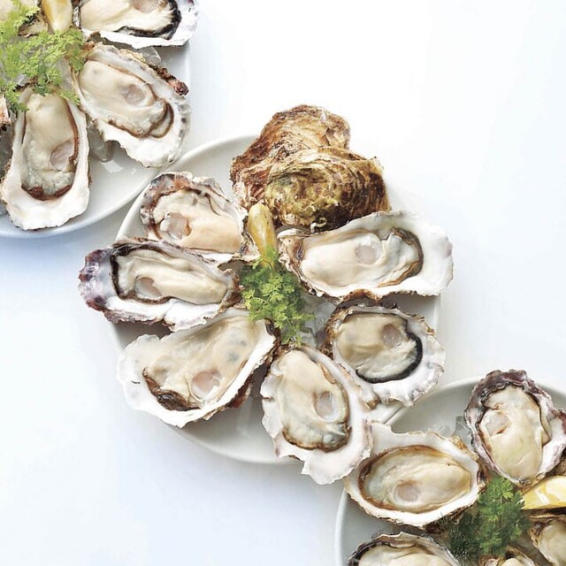 フィッシュ オイスターバー 西武渋谷店 Fish Oyster Bar 渋谷 オイスターバー ネット予約可 食べログ フィッシュ オイスターバー 西武渋谷店 Fish Oyster Bar 渋谷 オイスターバー ネット予約可 食べログ