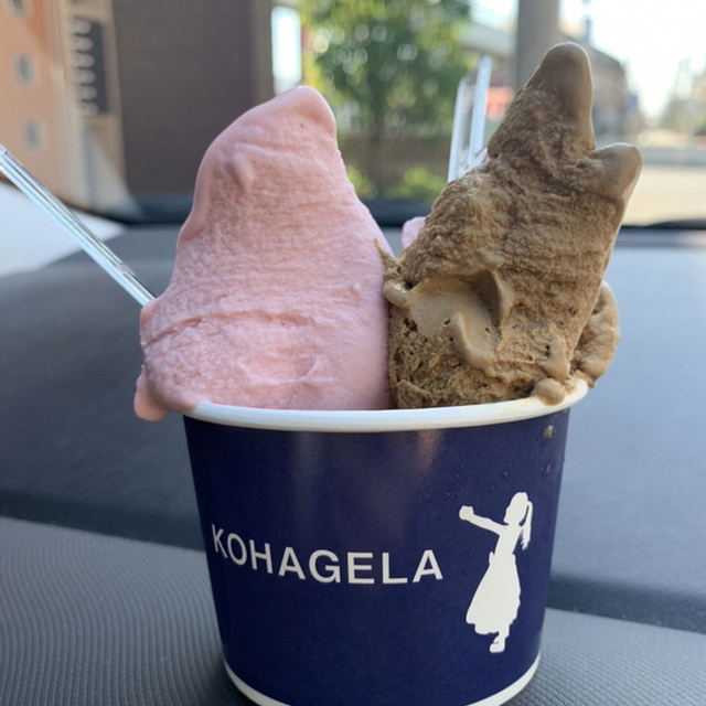 こはちゃんのジェラート屋さん 堺 三宝店 七道 アイスクリーム 食べログ