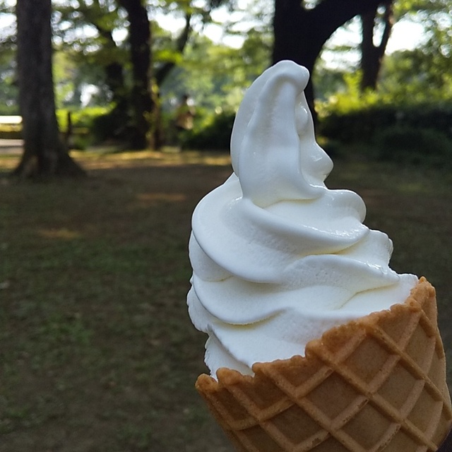 パークスローズガーデン 都立神代植物公園 都立神代植物公園ばら売店 調布 アイスクリーム 食べログ