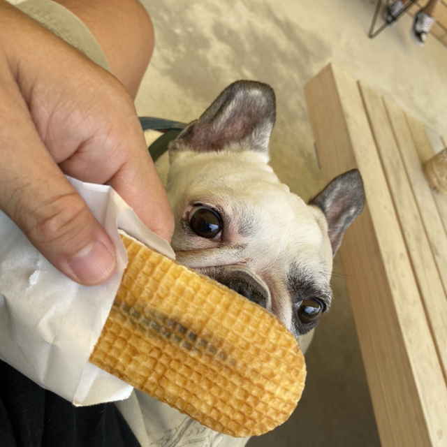 バターのいとこ )~イメージ画像1~