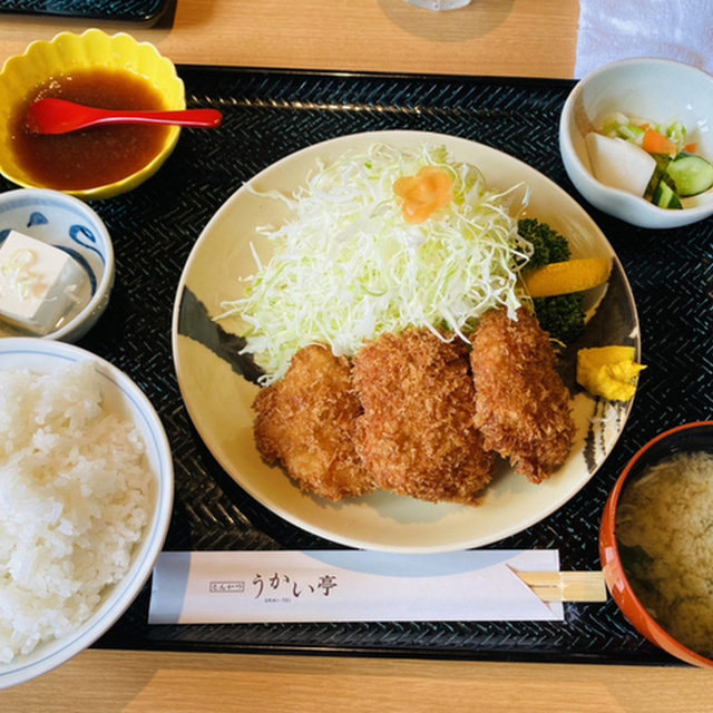 うかい亭 一花 うかいてい いちげ 高崎問屋町 とんかつ 食べログ うかい亭 一花 うかいてい いちげ 高崎問屋町 とんかつ 食べログ