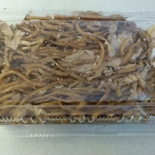 高田やきそば店 - 足利(焼きそば)の写真(食べログが提供するog:image)