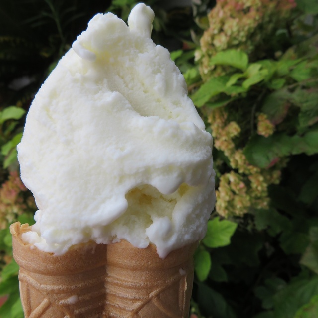 アイスクリーム工房 Boss Mom アイスクリームコウボウボスアンドマム 三木市その他 アイスクリーム 食べログ