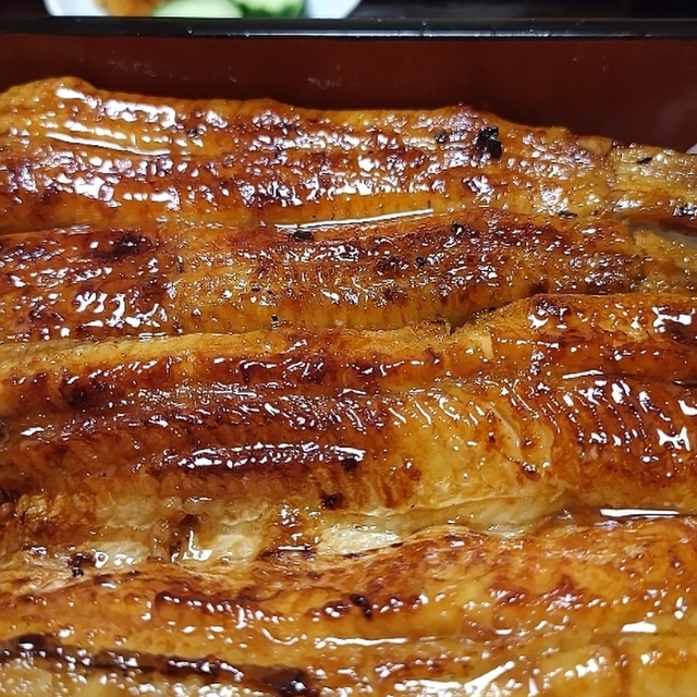 うなぎ処 高はし 旧店名 天ぷら高はし 五稜郭公園前 うなぎ 食べログ