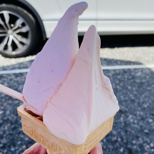 つくりたて生アイスの店 ふるフル
)~イメージ画像1~