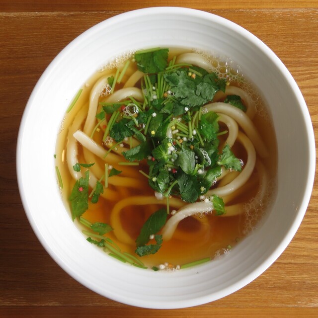 うどん レストラン 咲々（UDON RESTAURANT サクサク） - 豊岡（うどん）の写真（食べログが提供するog:image）