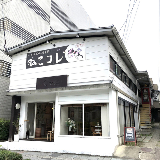 本格的ねこ倶楽部 ねこコレ 山形店 ねこコレ山形店 北山形 カフェ 喫茶 その他 食べログ