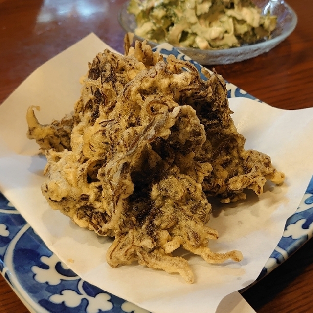 沖縄料理 めんそ れ 長浜 沖縄料理 食べログ 沖縄料理 めんそ れ 長浜 沖縄料理 食べログ