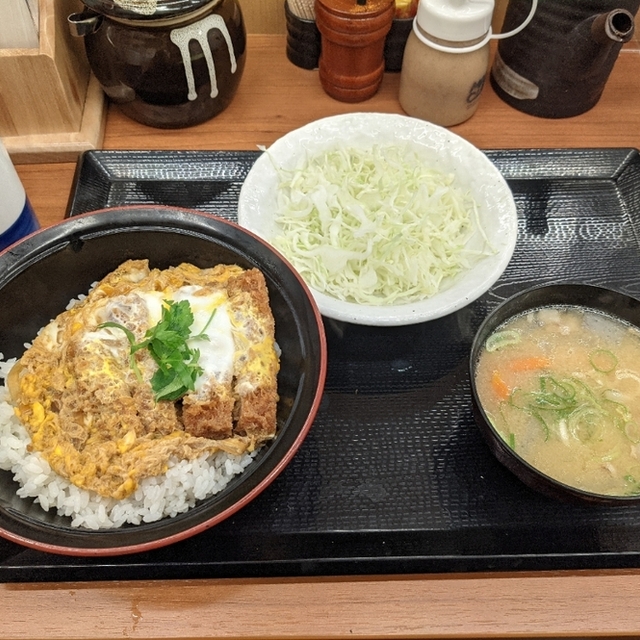 とんかつ かつや 神田東口店 - 神田(とんかつ)の写真(食べログが提供するog:image)