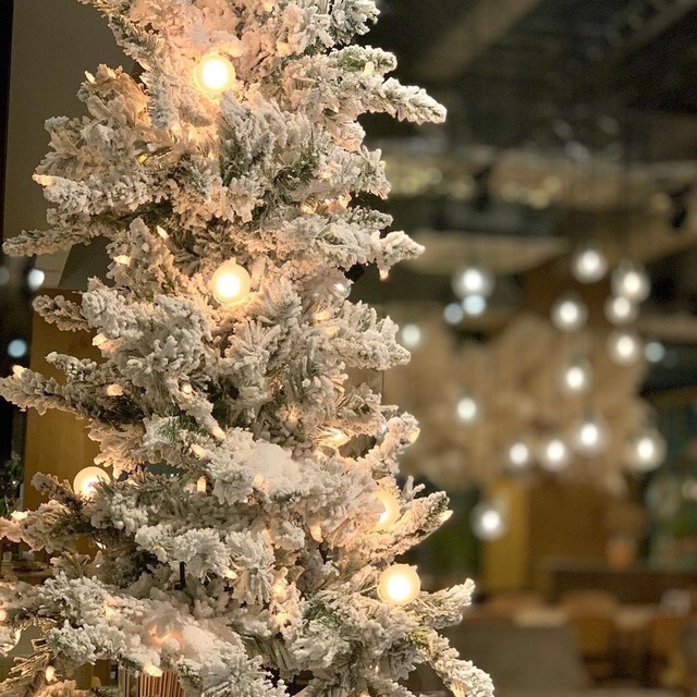 KOSUGI Cafe（【旧店名】KOSUGI CAFE nappa69）～イメージ画像１～