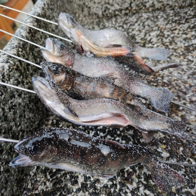 トラウトファーム秋川 （Trout Farm Akigawa） 奥多摩/その他 食べログ