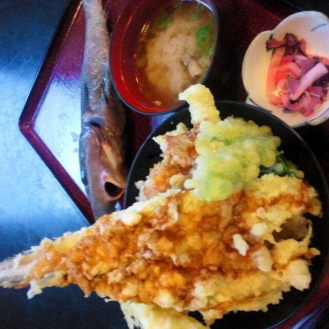 どんむす - 沼津（海鮮丼）の写真（食べログが提供するog:image）