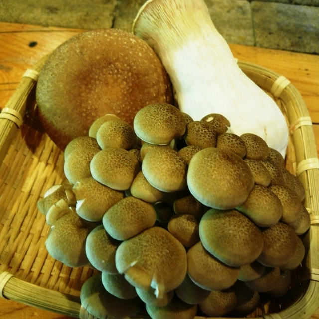 きのこの舘 吉野 郷土料理 その他 食べログ きのこの舘 吉野 郷土料理 その他 食べログ