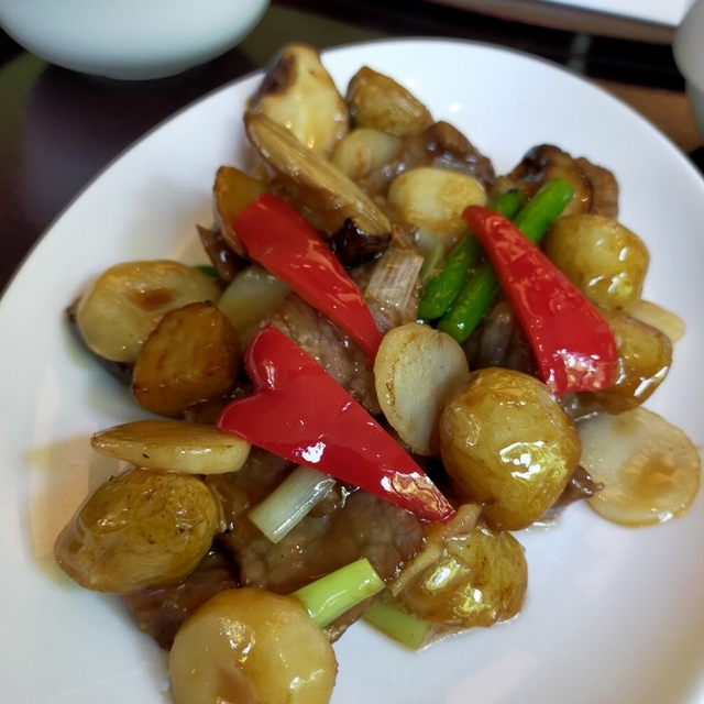 焼津四川飯店 中島屋西小川ガーデンズ - 焼津（四川料理）の写真（食べログが提供するog:image）