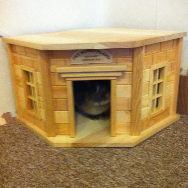 うさゆ 茨木 カフェ 食べログ