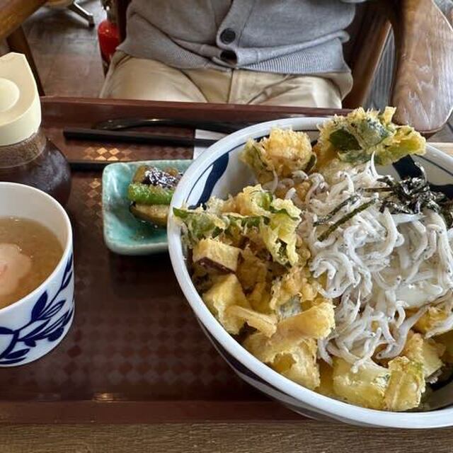 長谷食堂 - 長谷（食堂）の写真（食べログが提供するog:image）