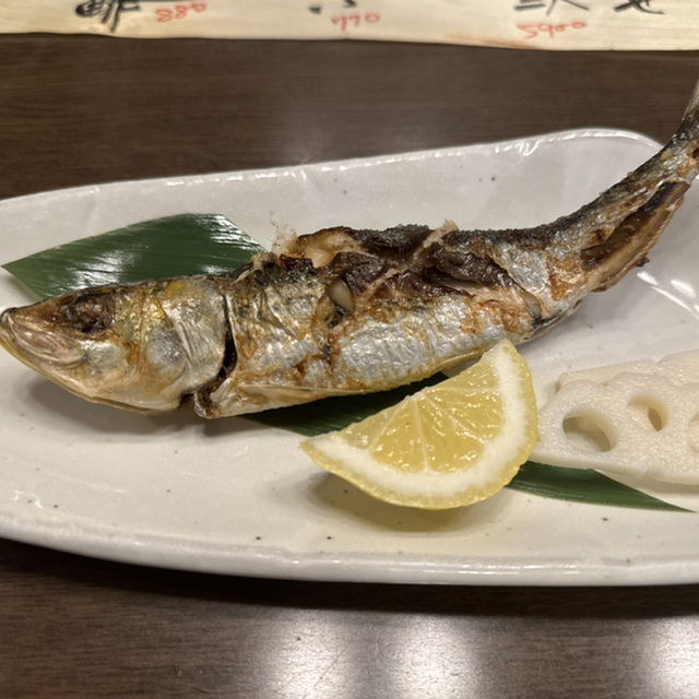鰯組（いわしぐみ） - 野町（海鮮）の写真（食べログが提供するog:image）