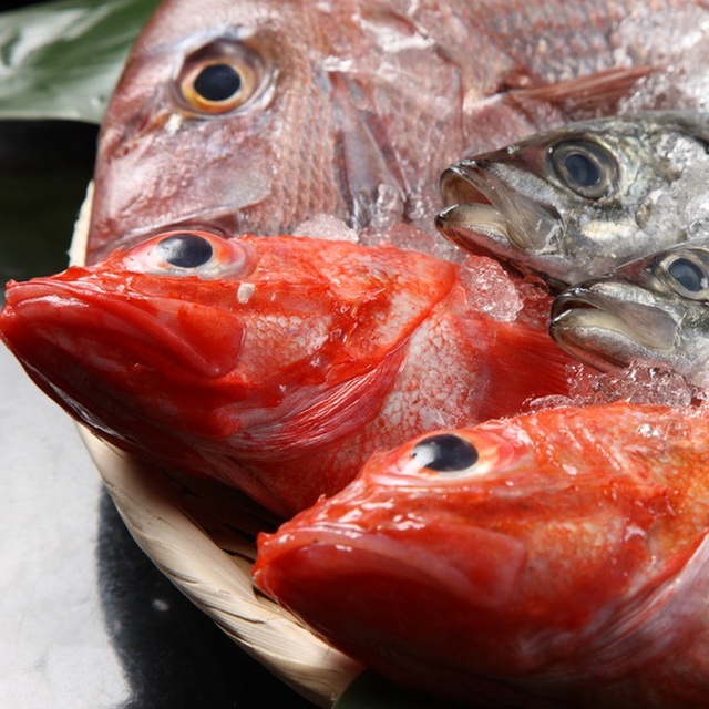 コブダイはまずい その味やレシピ 旬な時期 釣り方 さばき方を解説 釣りラボマガジン