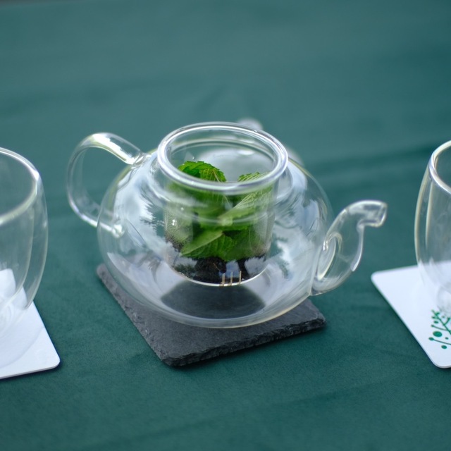 YUKARA Cafe LEAF(ユーカラ カフェ リーフ) - 大沼公園(カフェ)の写真(食べログが提供するog:image)