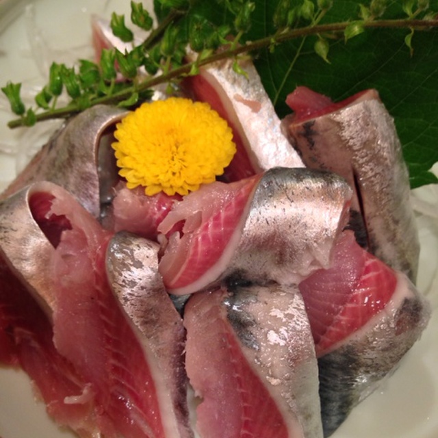 魚がし寿司 志木 寿司 食べログ 魚がし寿司 志木 寿司 食べログ
