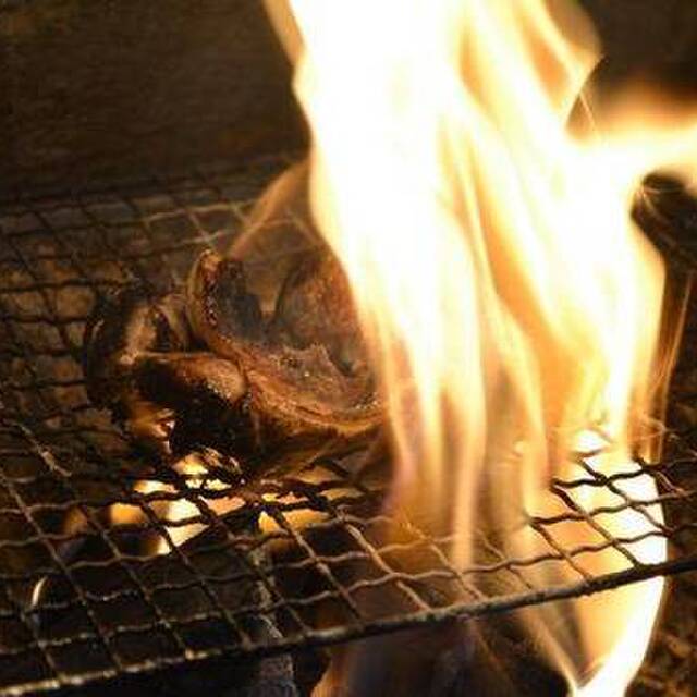 江島流やきとり道場 本店 えじまりゅうやきとりどうじょう 大学病院 居酒屋 ネット予約可 食べログ