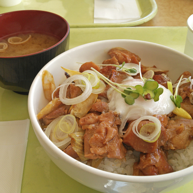 白馬さのさかスキー場 カフェテリアレストラン 南神城 丼もの その他 食べログ
