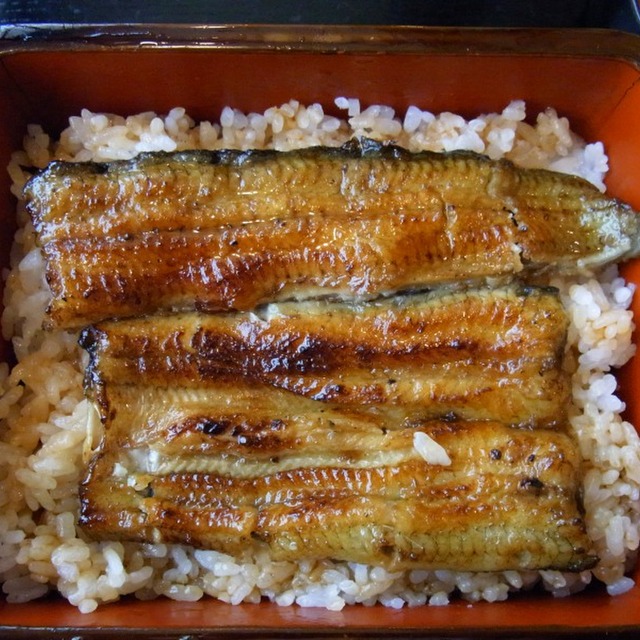 口コミ一覧 荻窪宮川 荻窪 うなぎ 食べログ