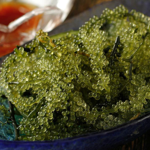 花唄 広尾店 ハナウタ 広尾 沖縄料理 食べログ