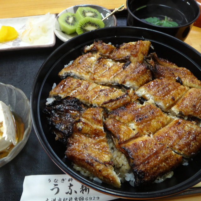 うな耕 伊予大洲 うなぎ 食べログ