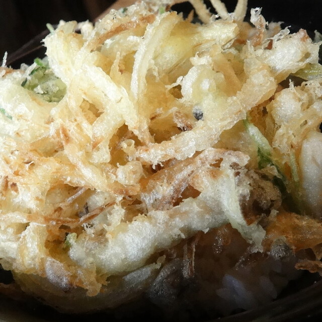 移転 海月 ウミヅキ 鎌倉 創作料理 食べログ