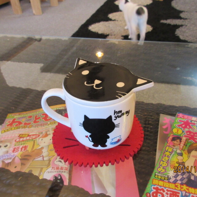 閉店 キャット カフェ ミアキス ネコマミレ 東加古川店 Cat Cafe Miacis ねこまみれ 東加古川 その他 食べログ