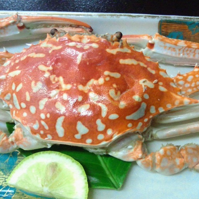 民宿 ふくまつ 天草市その他 旅館 オーベルジュ その他 食べログ