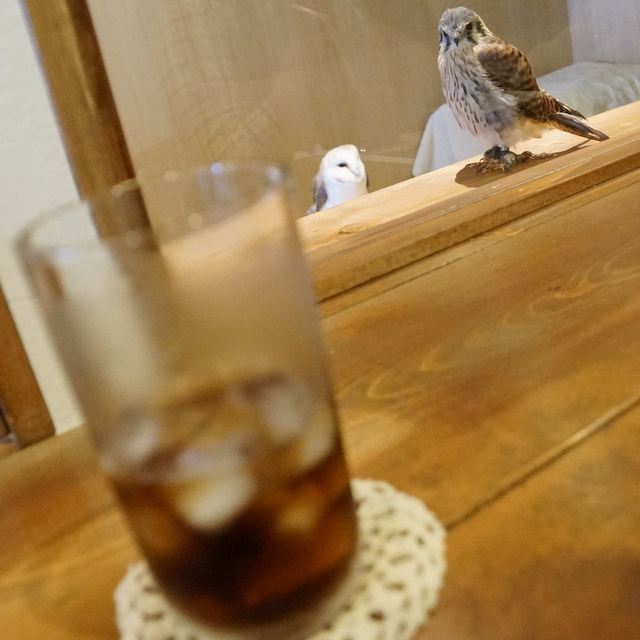 福ろうカフェ 澄川 カフェ 食べログ