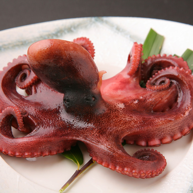 島宿 うみどり - 南知多町その他（旅館）の写真（食べログが提供するog:image）