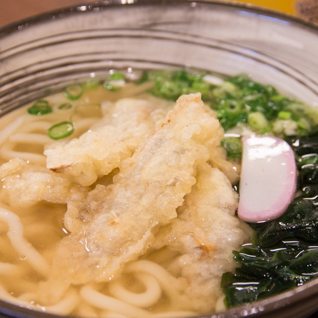 博多うどん よかよか 有楽町店 - 有楽町（うどん）の写真（食べログが提供するog:image）