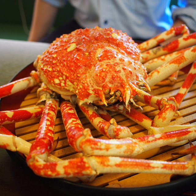 閉店 かにや 沼津港店 沼津 かに 食べログ 閉店 かにや 沼津港店 沼津 かに 食べログ