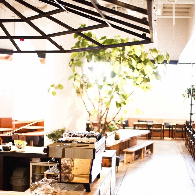 Rhc Cafe 大阪店 アールエイチシーカフェ 万博記念公園 カフェ 食べログ